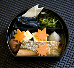 Japanese ideal meal-balance {9}